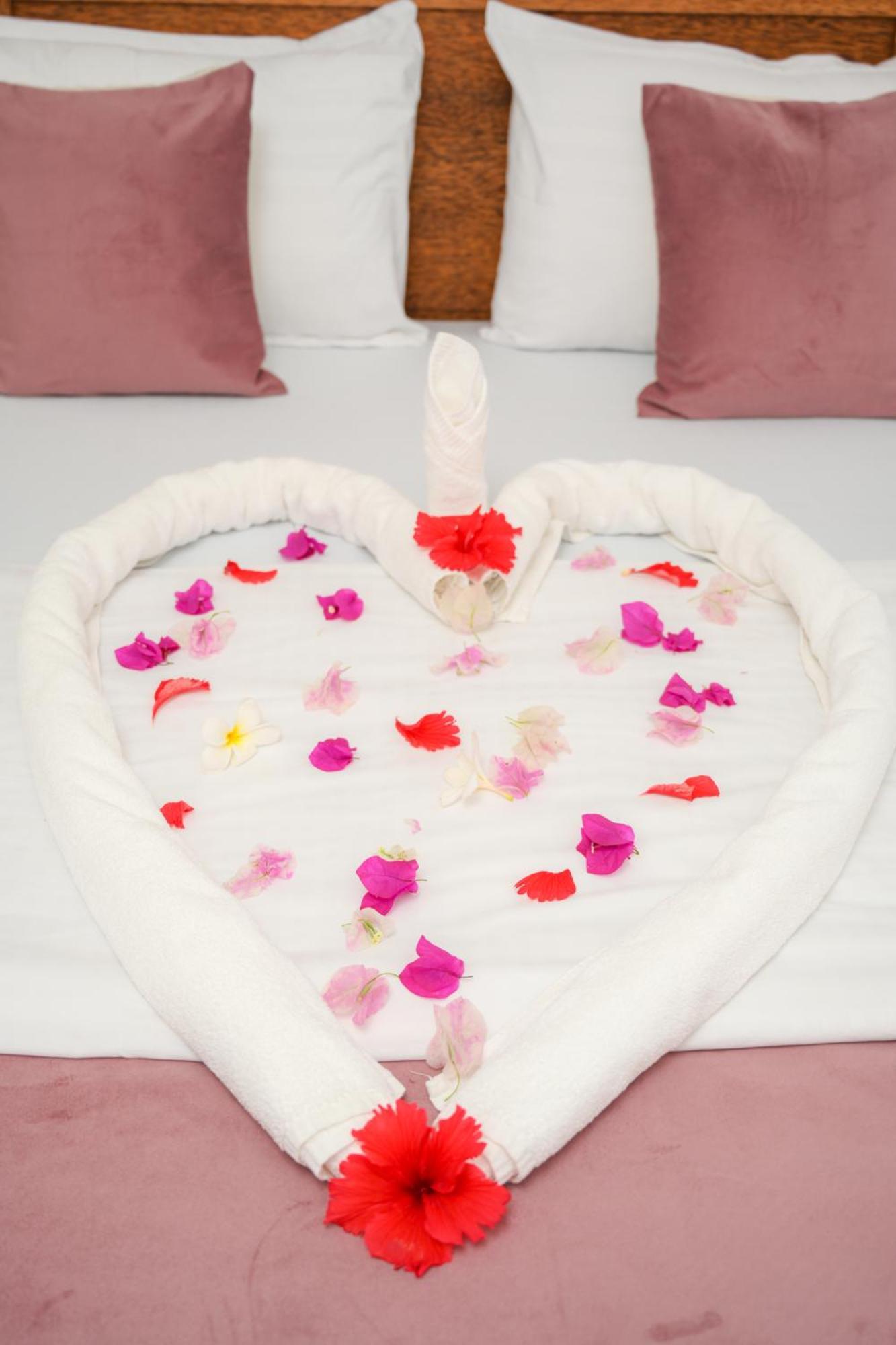 Auberge de jeunesse Paje Zanzibar