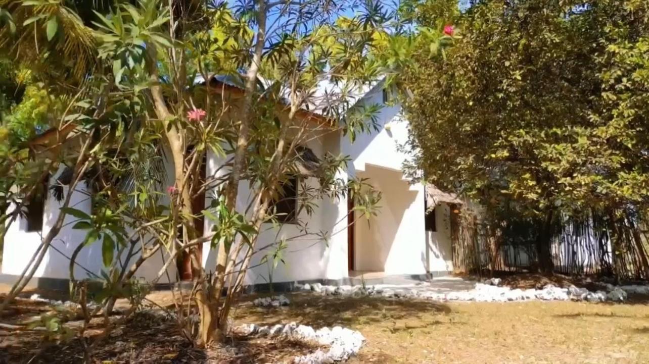 Auberge de jeunesse Paje